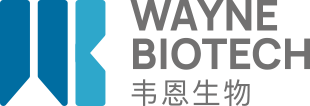 韦恩生物股份有限公司